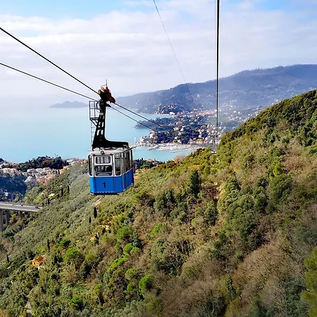 Joy-serenity 9 Mins To The Sea Rapallo